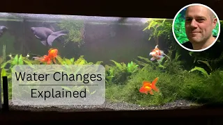 Goldfish Water Changing Explained - HOW, WHEN AND WHY WE SHOULD CHANGE WATER IN OUR GOLDFISH TANKS