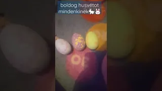 Boldog husvétot mindenkinek🐇🐇🐇🐰🐰🐰🥚🥚