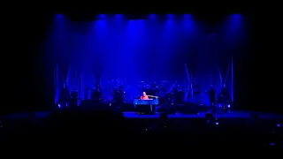 Brian Wilson - God Only Knows live