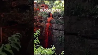 Blood River | A Wonder | Scenic Ventures