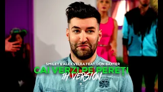 Smiley & Alex Velea feat. Don Baxter - Cai verzi pe pereti | 1 Hour Version