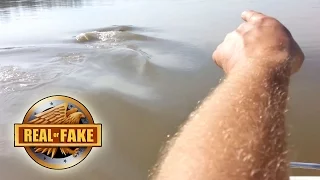 Missouri  RIVER MONSTER - real or fake?