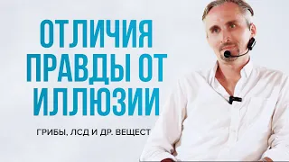 Как отличить реальность от вымысла? Опыт под грибами и веществами