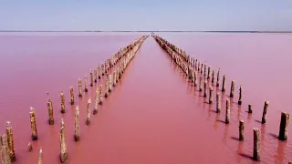 Розовое озеро Сасык-Сиваш в Крыму.