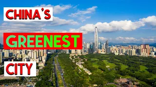 The Greenest City in the World? Shenzhen.