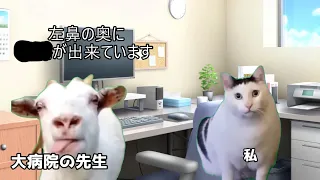 ただの鼻づまりかと思ったら重大な病気にかかっていた話 #猫マニア #猫マニ #猫ミーム