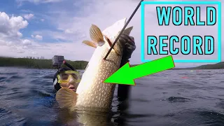 Spearfishing Pike - World Record Footage!