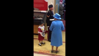 Young girl meeting the Queen gets hit by saluting soldier