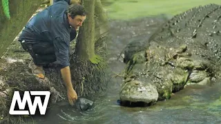 Matt Wright Gets Chased By A Big Crocodile! | Full Episode | Matt Wright