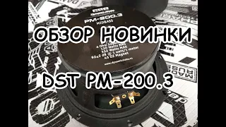 Разочарование года или новый хит? DST PM-200.3