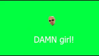 Pitbull DALE meme - ChromaKey