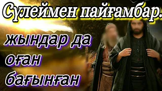 СҮЛЕЙМЕН ПАЙҒАМАБАР.ЖЫН-ШАЙТАНДАР МЕН ҚҰСТАРДАН ДА ӘСКЕР ҚҰРҒАН!