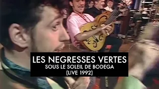 Les Négresses Vertes - Sous Le Soleil de Bodega - 27/06/1992 - Une Pêche Pour Bac d'Enfer (FR3)