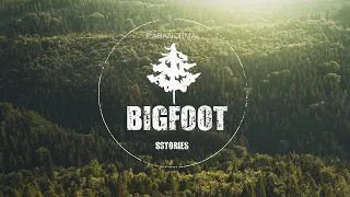 Father And Son Feel In Danger As They Investigate Impressive BIGFOOT Structure | SASQUATCH ENCOUNTER