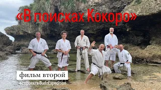 "В поисках Кокоро" фильм второй