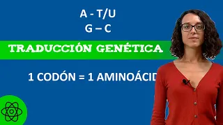 Ejercicios de TRADUCCIÓN Genética (🧬) ¡Prepara tu EXÁMEN!