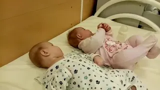 Двойняшки общаются друг с другом.