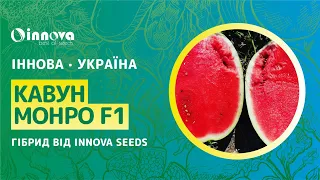 Огляд кавуна Монро F1 від компанії Innova Seeds