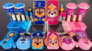 Chase vs Skye Paw Patrol | Mixing Makeup,Eyeshadow,Glitter,Clay Into Slime💝Satisfying Slime