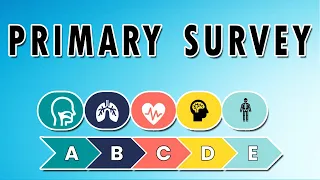 ABCs of Emergency: Airway, Breathing, and Circulation (Primary Survey)