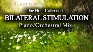 Wash Clean Anxiety and Stress with Bilateral Stimulation 1 Hour Collection - Piano and Orchestra