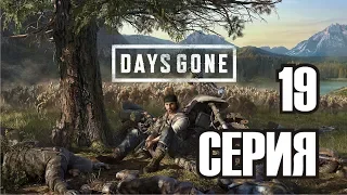 Days Gone - фильм / игрофильм, серия 19 (прохождение,все катсцены дейс гон)