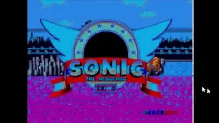 Kaizo Sonic the Hedgehog (rage game)