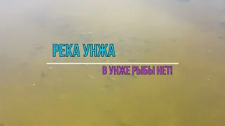 Река Унжа, рыбы нет!