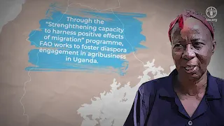 Working with diaspora to boost employment opportunities in agri-food systems in Uganda