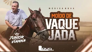 Junior Vianna - Moído de Vaquejada (Música Nova) - LoudCDs