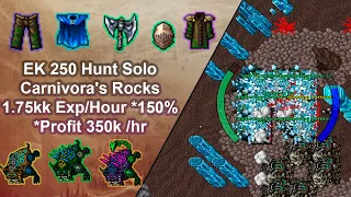Tibia Elite Knight 253(250+) Solo Hunt/Port Hope Carnivora's Rocks/1.75kkExp/Hour 150%Profit 350k/hr