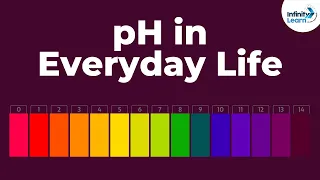 pH in Everyday Life | Acid Bases and Salts | Don't Memorise