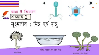 Class 8 Science Chapter 2 सूक्ष्मजीव: मित्र एवं शत्रु in Hindi Medium