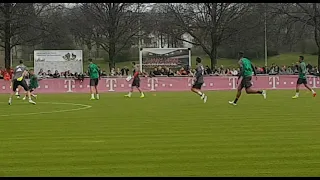 FC Bayern München (Öffentliches Training)