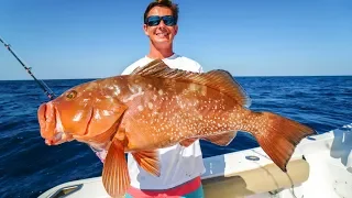 DEEP Sea Grouper!  Catch Clean Cook! (Deep Sea Gulf Bottom Fishing)