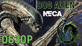 Обзор Фигурки ЧУЖОЙ Бегун / Dog Alien от NECA (Neca Dog Alien Action Figure review)