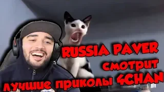 RUSSIA PAVER смотрит  лучшие приколы 4CHAN