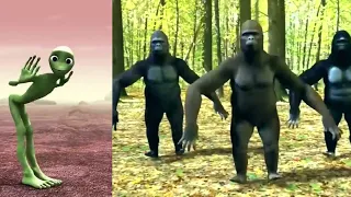 Dame Tu Cosita vs Bara Bere Dancing gorilla