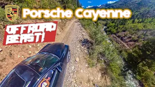 Porsche Cayenne is the ULTIMATE offroader