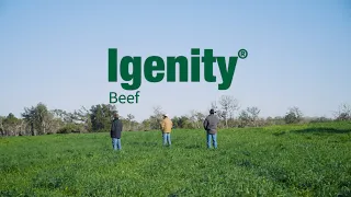 Igenity Beef – Genomics for Cattle Producers