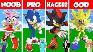 Minecraft SONIC THE HEDGEHOG HOUSE BUILD CHALLENGE NOOB vs PRO vs HACKER vs GOD Animation