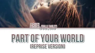 Part Of Your World [Reprise Version] By Halle Bailey (From The Little Mermaid) (Colour Coded Lyrics)