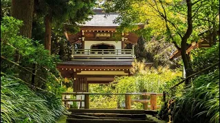 【4K JAPAN】Stroll through early summer tourist spots in Kita-Kamakura