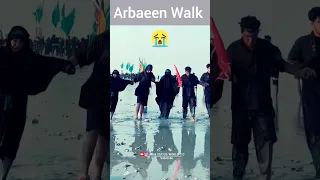 Arbaeen Walk Najaf to Karbala 🥺