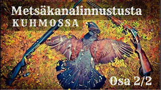 Metsäkanalinnustusta Kuhmossa 2022 | Metso siulle, metso miulle | Osa 2/2