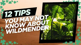 Wildmender - 12 Tips And Tricks You May Not Know