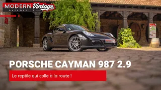 Porsche Cayman 987 2.9 / Le reptile qui colle à la route !