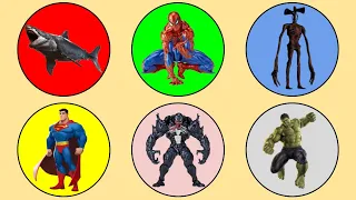 King Of Monster ; Megalodon, Siren Head, Venom, Hulk, Spiderman vs Superman