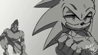 sonic and the secret rings ending animatic