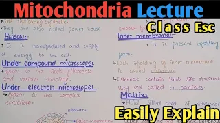 Mitochondria Structure And Functions | Powerhouse | Class 11 Biology